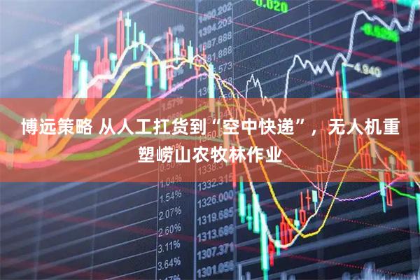 博远策略 从人工扛货到“空中快递”，无人机重塑崂山农牧林作业