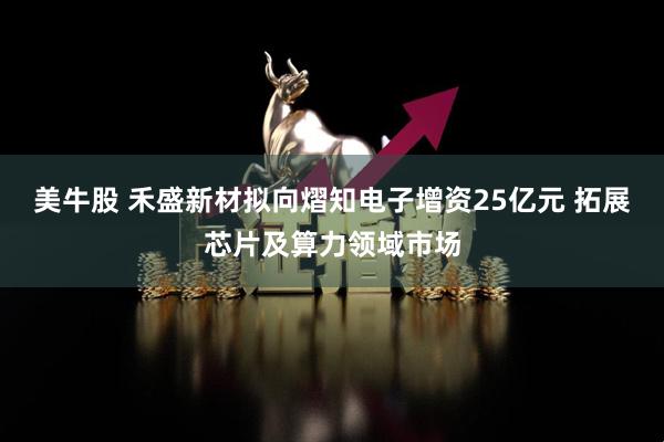 美牛股 禾盛新材拟向熠知电子增资25亿元 拓展芯片及算力领域市场